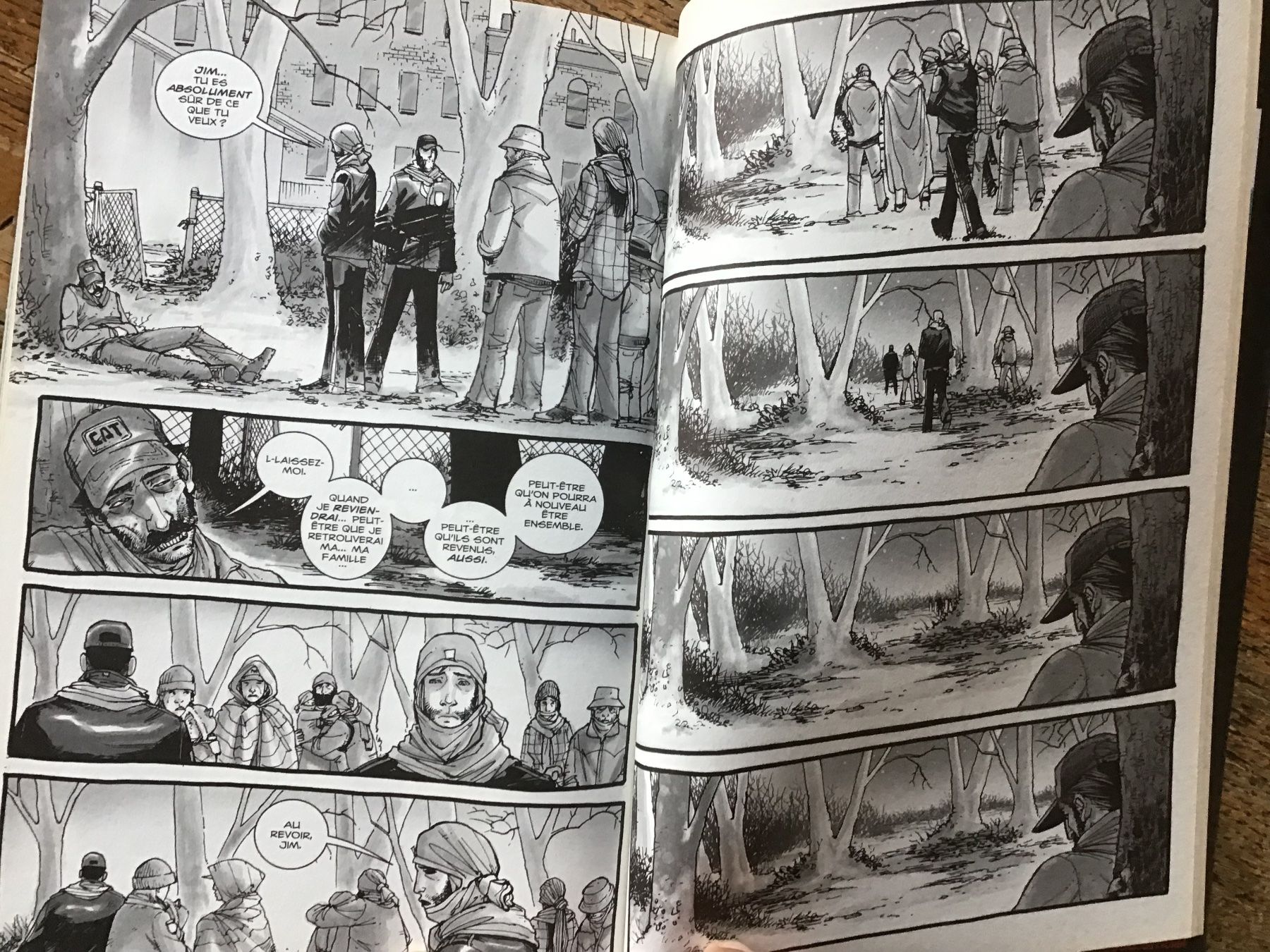Fumetti: Walking Dead EO T1 Passé décomposé – Usato da Fully venduto da Ruby97 4