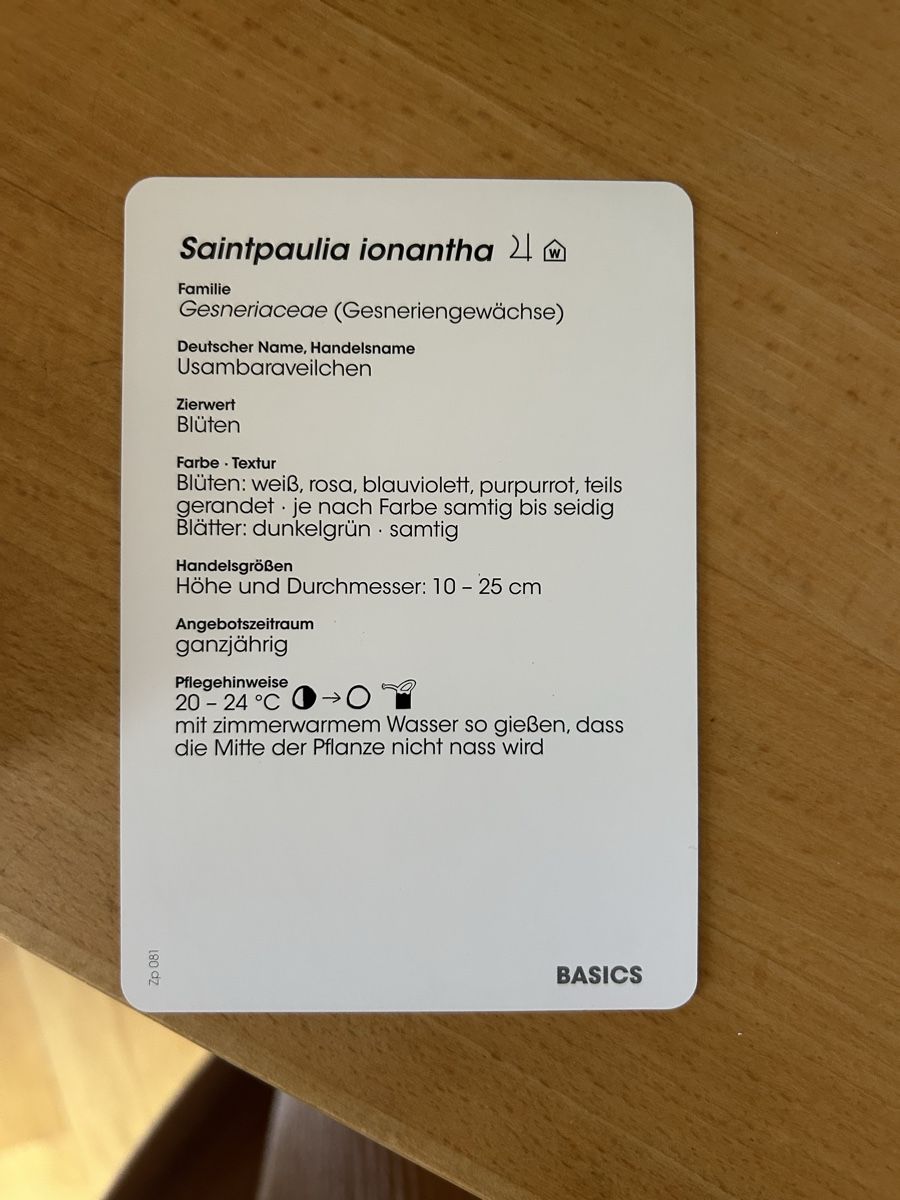 Altro materiale scolastico: Zimmerpflanzen-Lernkarten: 100 Basics – Nuovo (secondo la descrizione) da Brugg venduto da Le3712 3