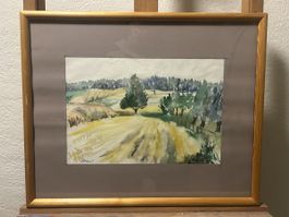 Schönes Aquarell-Gemälde „Landschaft mit Feld und Wald“