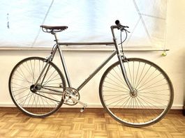 Velo, Fahrrad / Weisswangenkauz ZH / Chrom