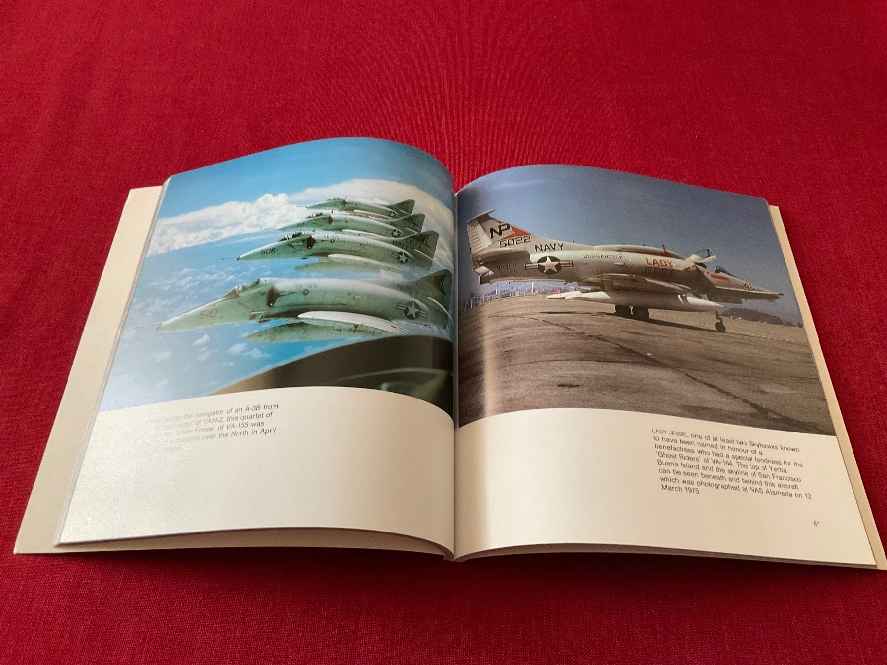 Libri: US NAVY AIR WINGS: 1965-1975 – Usato da Lugano venduto da Persepolis 1