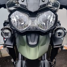 Profile image of Tiger800X