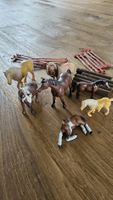 Schleichtiere sowie sonstige Kleintiere, Zäune 