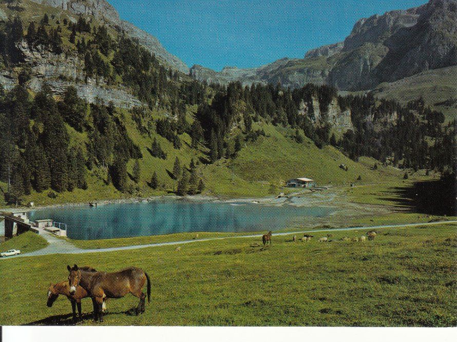 Cartoline postali: Bisisthal Sahli 1988 – Usato da Bürglen TG venduto da StampGraf
