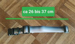 Hunde-Halsband SportPet Gr S Grau