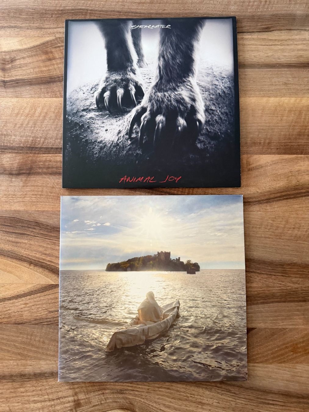 Dischi in vinile: Shearwater, 2 LPs - Indie Rock – Usato da Liebefeld venduto da pearldiver