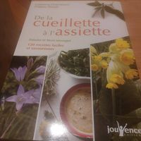"De la Cueillete à l'Assiette, salades et fleurs sauvages"