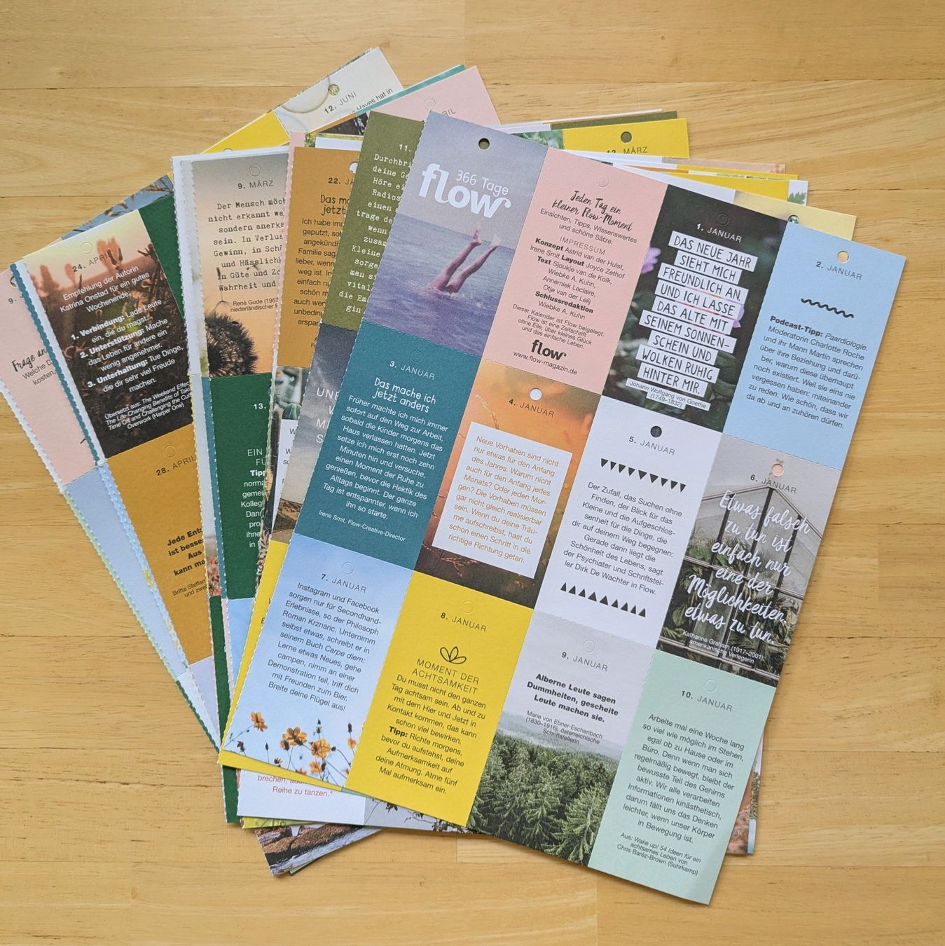 Kalender: FLOW 365Tage Kalender – Neu (gemäss Beschreibung) aus Bertschikon Gossau von Tokibunny