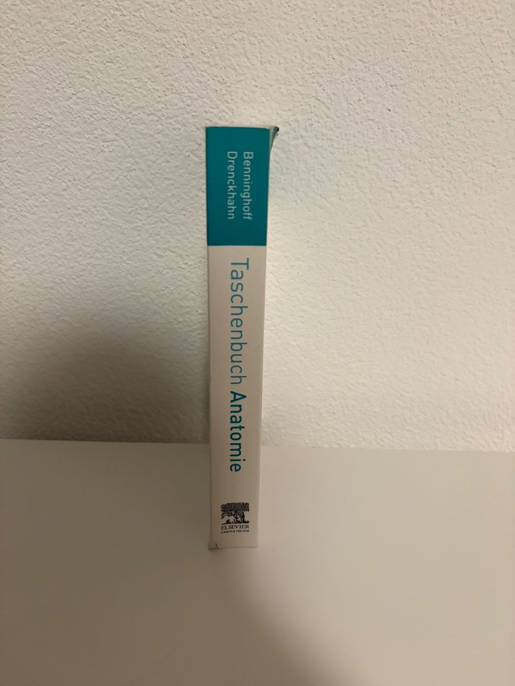 Bücher: Taschenbuch Anatomie Benninghoff, 2. Auflage – Gebraucht aus Liebefeld von lau_dfv9 1