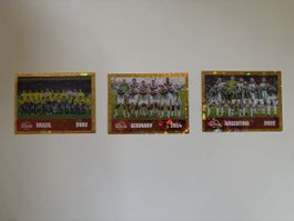 Panini: FWC 16,FWC 18,FWC 19