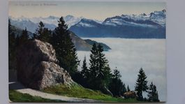 Rigi mit Alpen und Nebelmeer