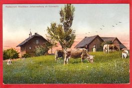 KÜSNACHT WALDHAUS JOHANNESBURG
