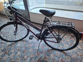 Tigra Fahrrad Damen Velo lila