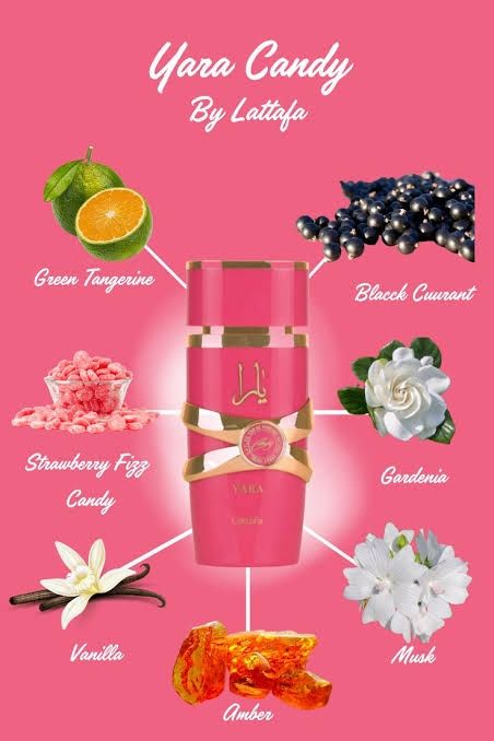 Lattafa Profumi & Eau de Toilette: Lattafa Yara Candy Eau de Parfum 100ml new – Nuovo e nell'imballaggio originale da Kollbrunn venduto da den_lzs8 2