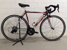 Rennrad F. Moser Leader AX mit neuen Campagnolo Komponenten