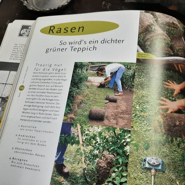 Lazy, so leicht kann Gärtnern sein Kaufen auf Ricardo