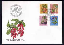 FDC Pro Juventute 1976