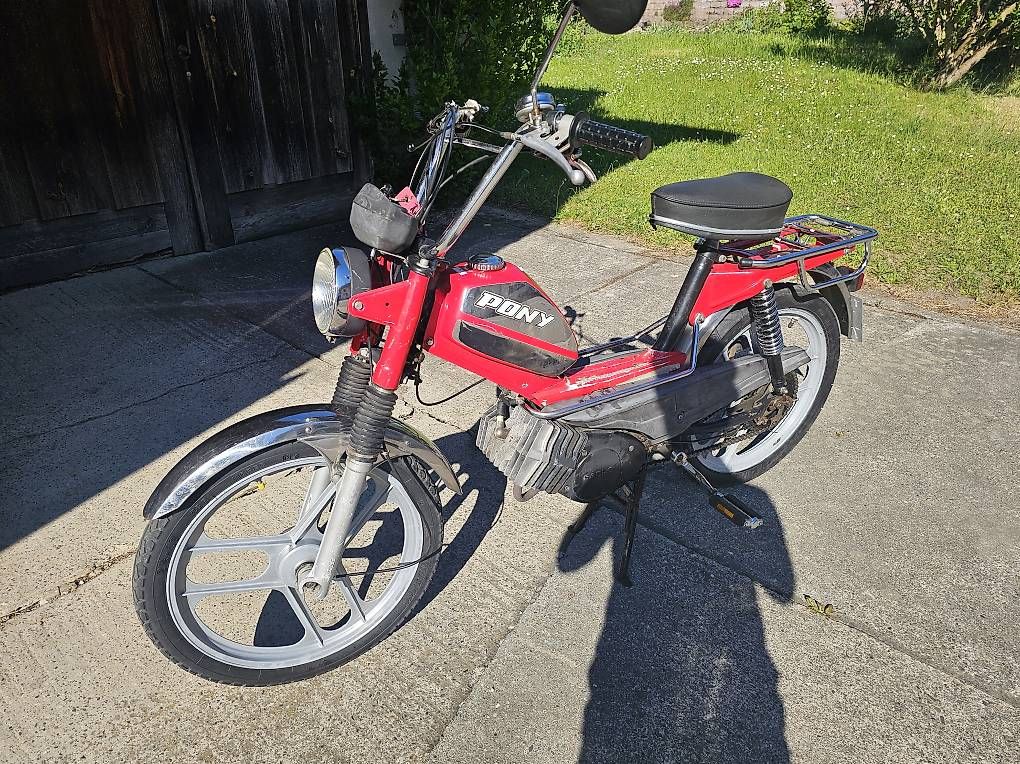 Ciclomotori: Pony GTX 503 Kat.    – Usato da Weiningen TG venduto da Briandickenmann