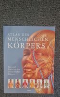 Atlas des menschlichen Körpers - Libero
