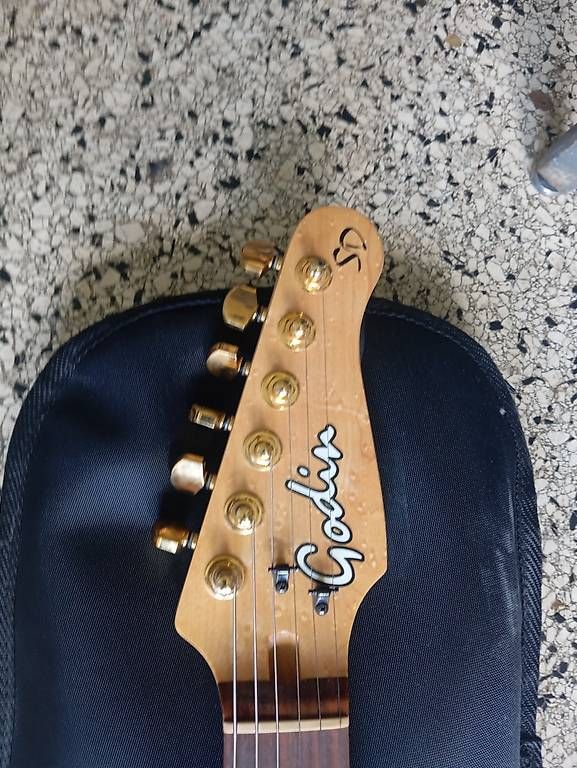 Godin Strumenti musicali: E Gitarre Godin SD – Usato da Basel venduto da Petergunn 2
