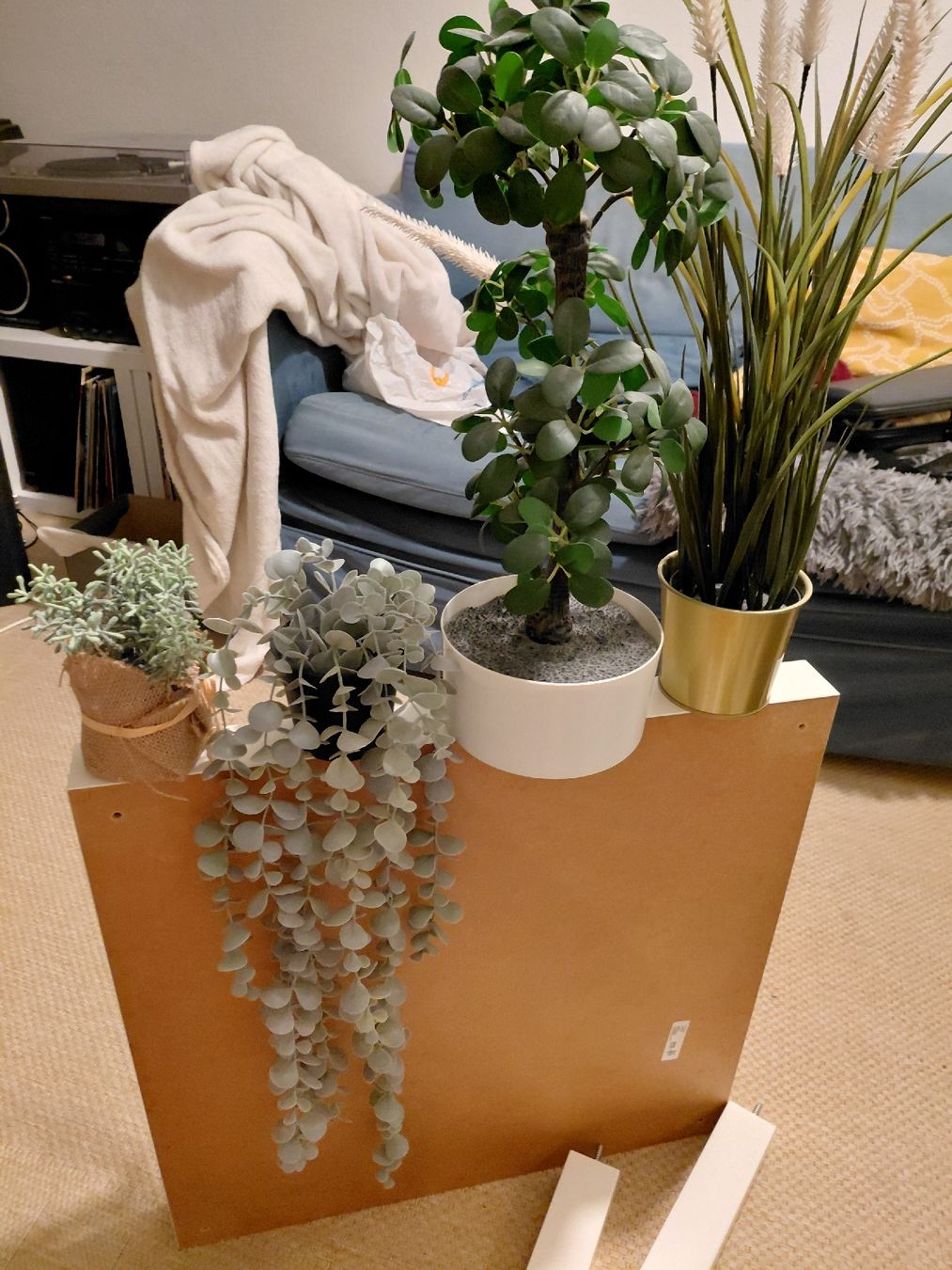 Tutte le decorazioni: Plastik Zimmerpflanzen GRATIS – Usato da Zürich venduto da NoahhaoN 1