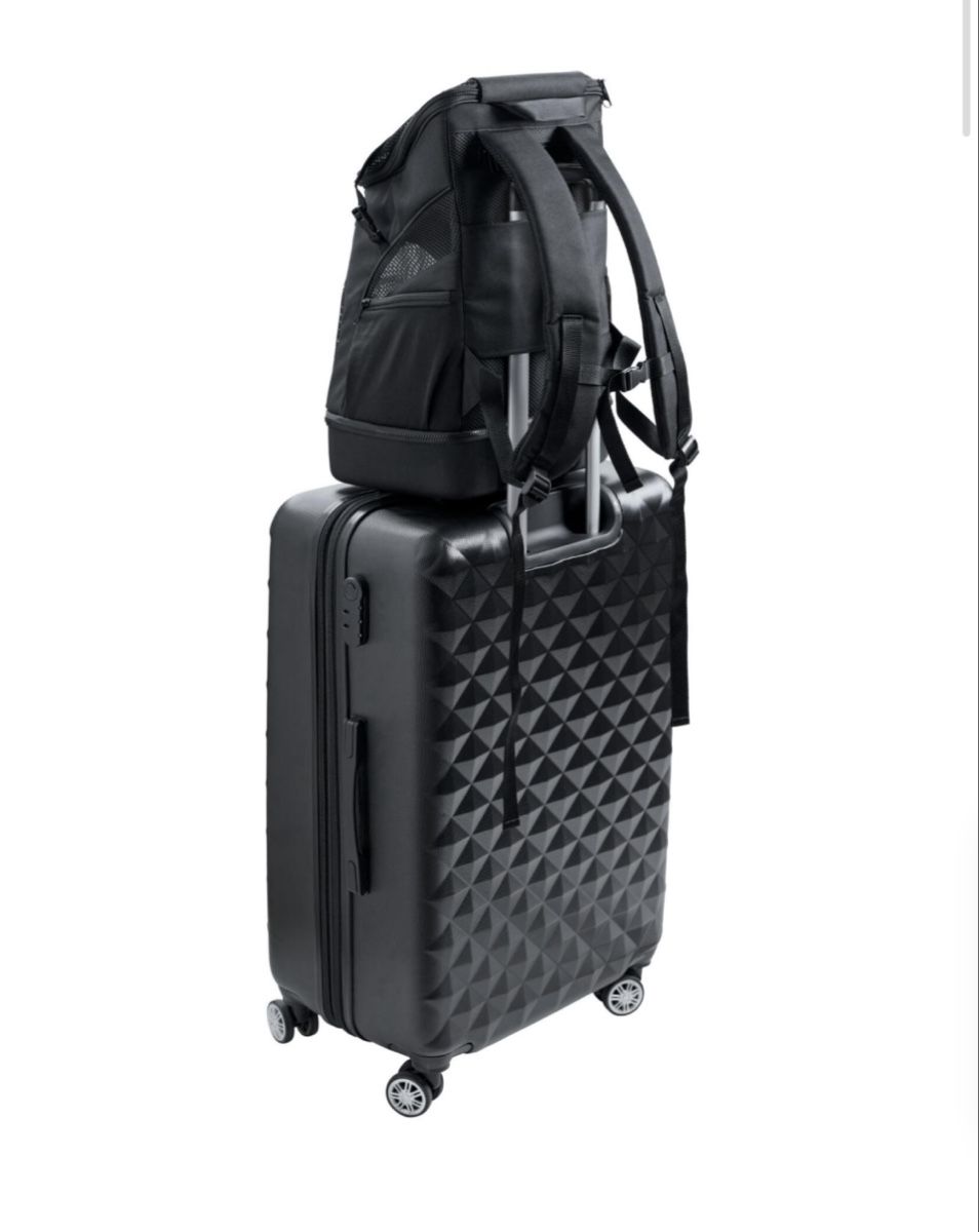 Hunter Sacs à dos: Kleintier Rucksack von Hunter – Neuf (Voir description) à Biel/Bienne par lar_p2yy 3