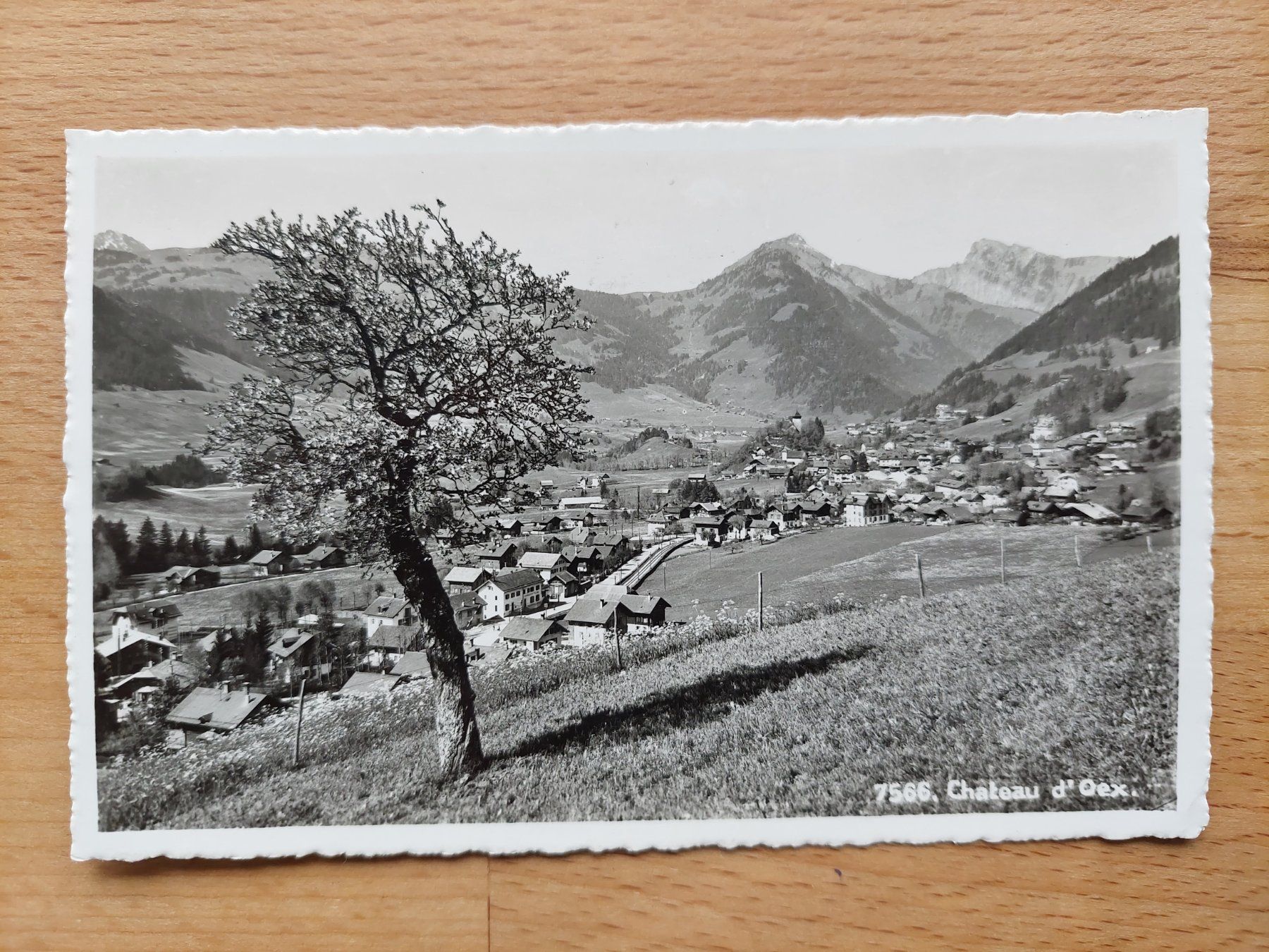 Cartoline postali: AK Chateau d'Oex – Usato da Obfelden venduto da Foto_Bild_Kunst_Buch