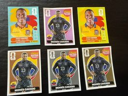 EXTRA-STICKER DER WM VON 2026 MIT  6x  MOISES  CAICEDO