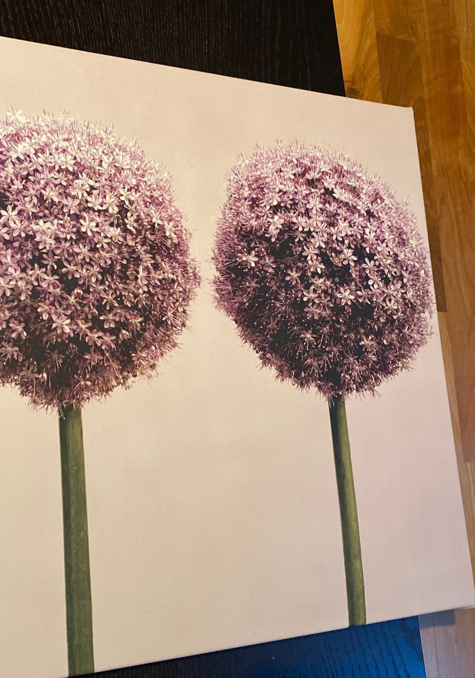 Foto & Immagini: Leinwandbild Blumen – Usato da Köniz venduto da sa12be 1