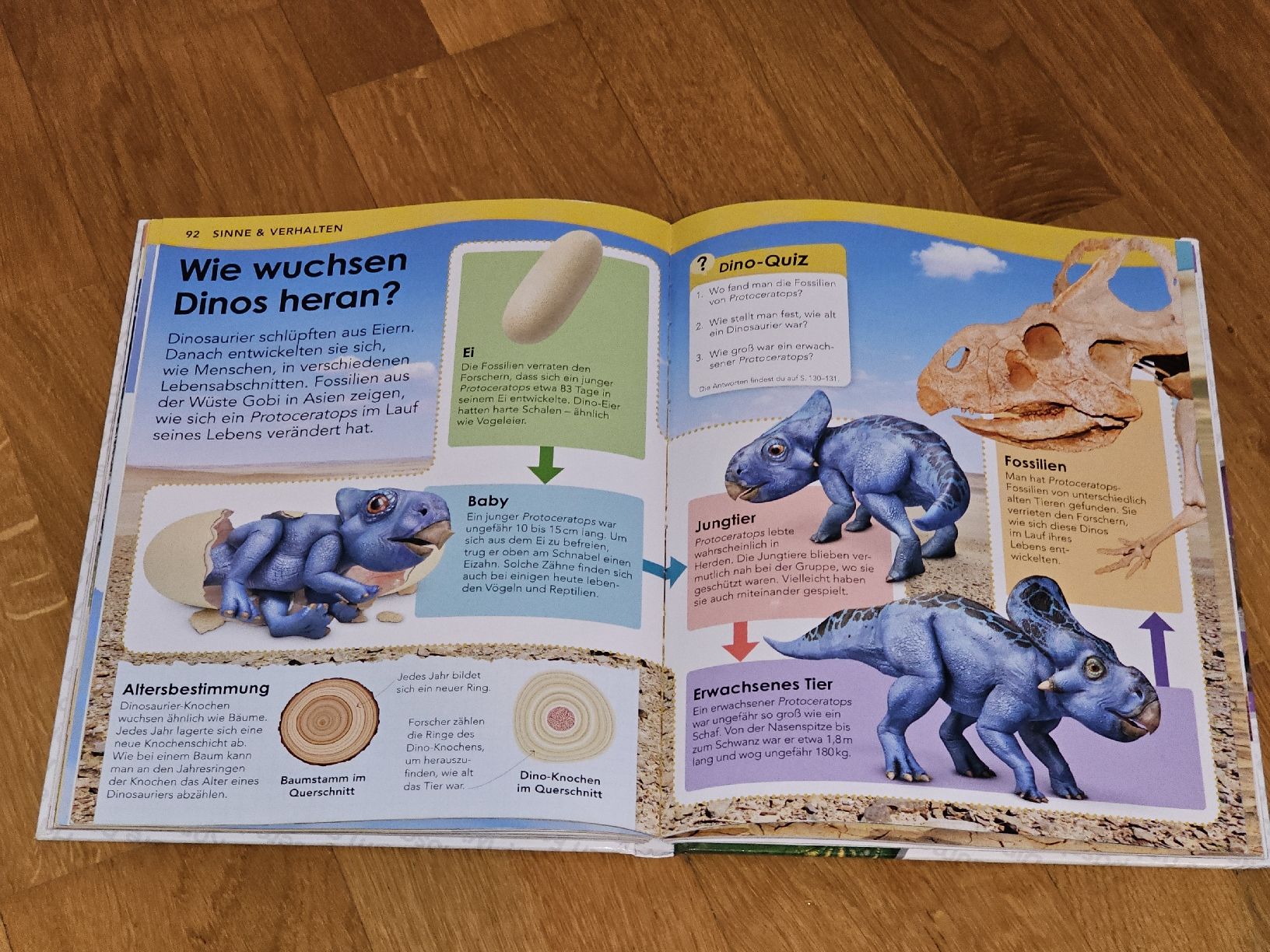 Libri: Dinos Weshalb? Deshalb! Lexikon von DK – Usato da Birmensdorf ZH venduto da eva_9hvs 4