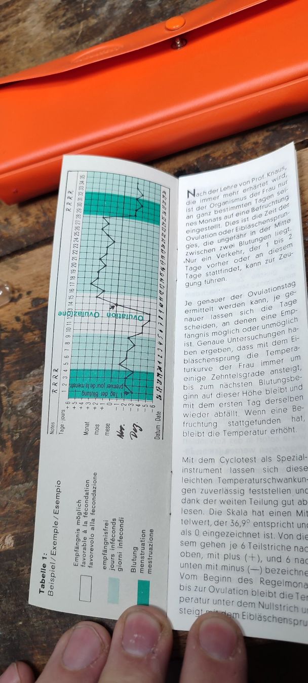 Altro per la casa: Wunderschöner alter Zykluskontrollthermometer – Usato da Gelterkinden venduto da MYSTOREFORYOU4460 7