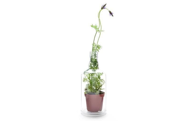 Tutte le decorazioni: Deko Flaschen ohne  Inhalt NEU! – Nuovo e nell'imballaggio originale da Zug venduto da Formsign 2