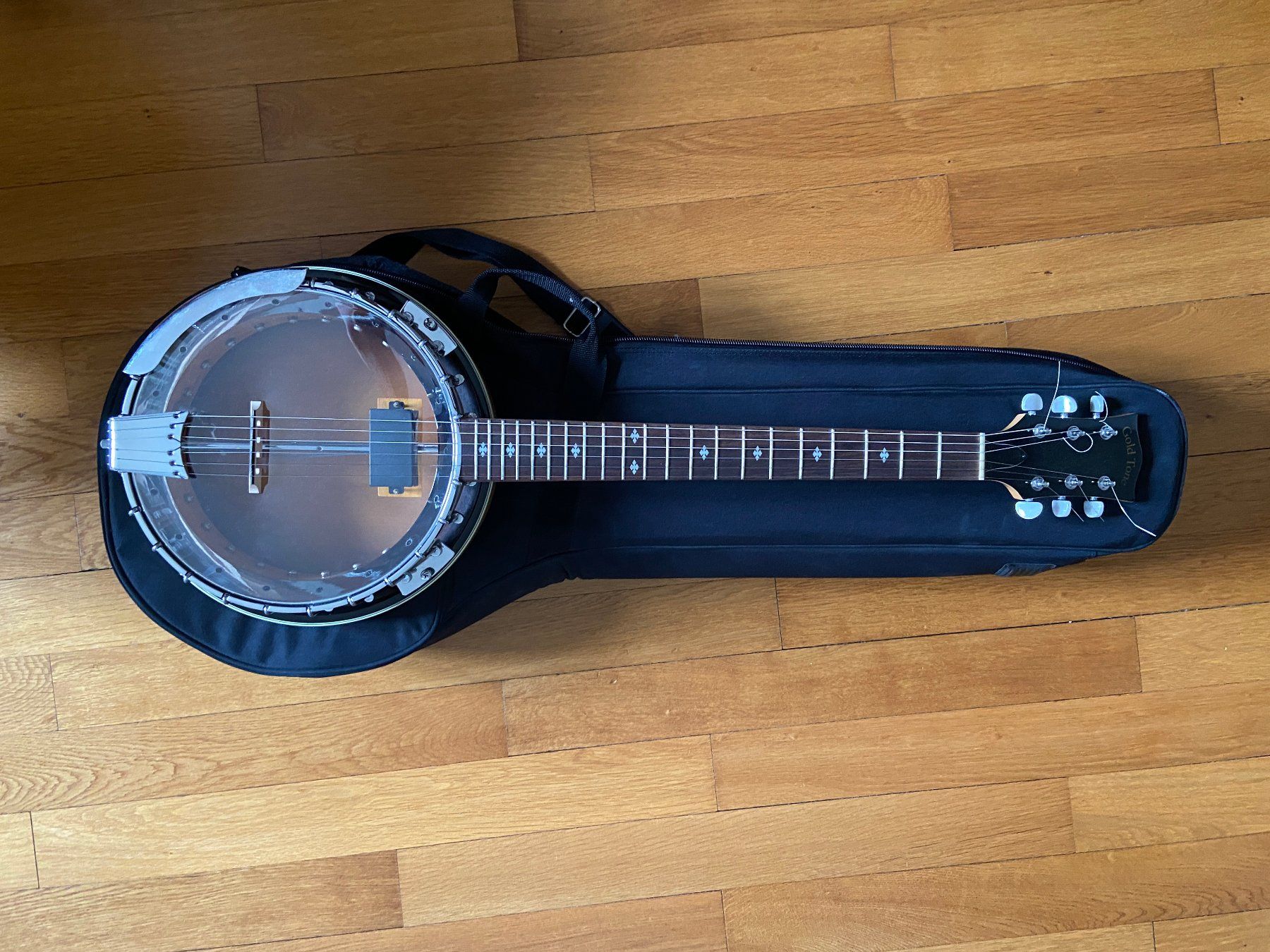 Musikinstrumente: Banjitar Gold Tone GT-2000 comme neuf – Gebraucht aus Vevey von eternalslang 1