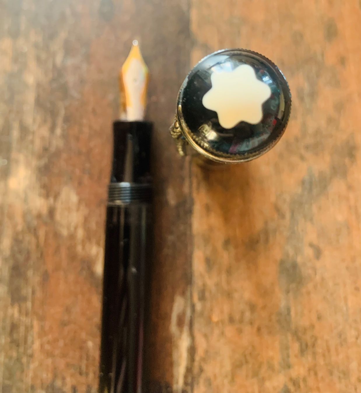 Il mondo degli animali: Mont Blanc stylo à plume 925 – Usato da Rechthalten venduto da Sariespicher 2