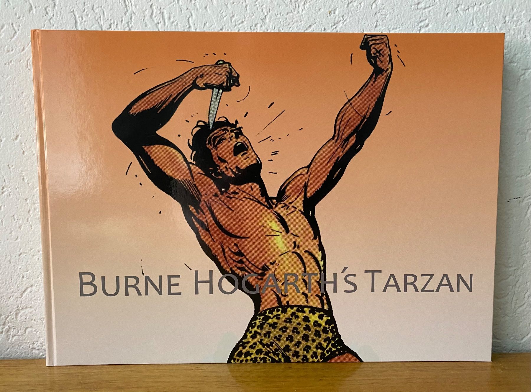 Fumetti: Burne Hogarth's Tarzan Vol. 1 bis 4 – Usato da Münsingen venduto da kempes