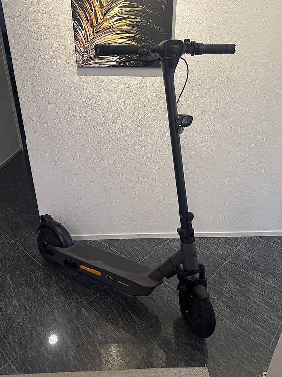 Scooters: E Trotti / E Roller 500 W PF-2 CITY 835 – Gebraucht aus Wald ZH von Largo03 3