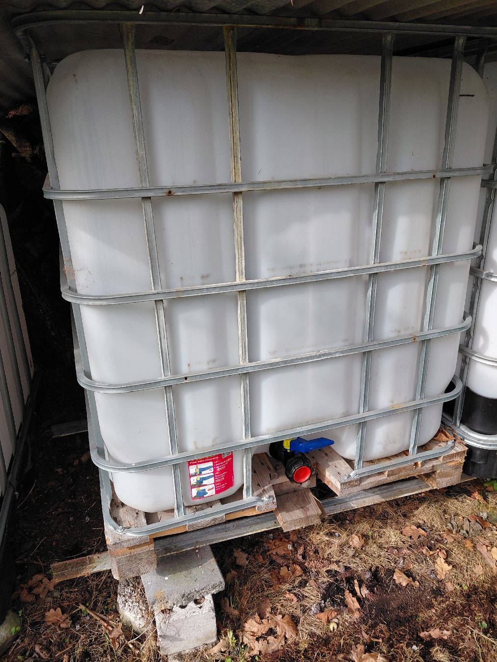 Abbeveratoi e trogoli: ibc Container – Usato da Eschenbach LU venduto da jos_gz59