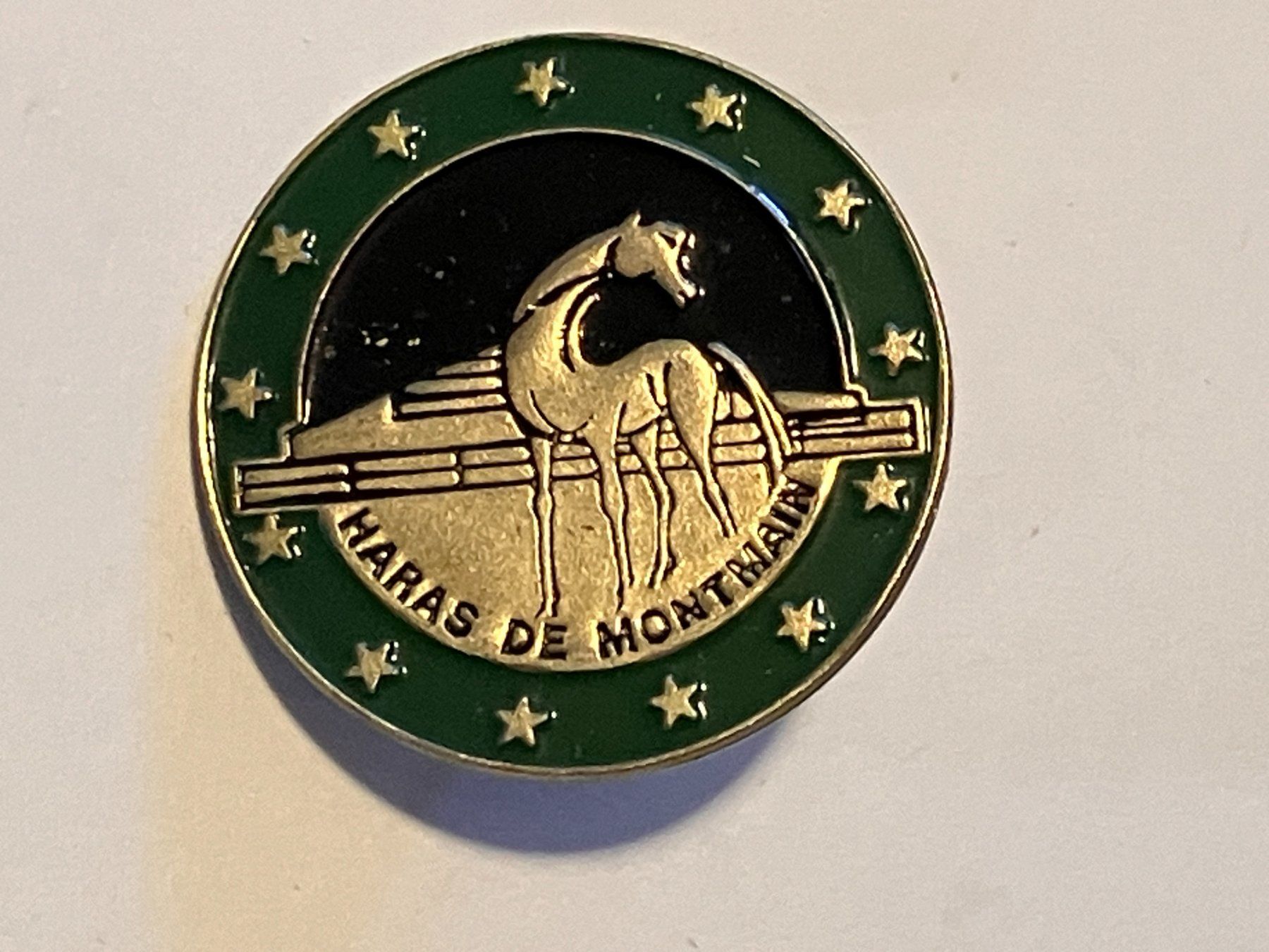 Placchette & Badge: 1 Pin Harras de Montmain – Usato da Basel venduto da djwwpp