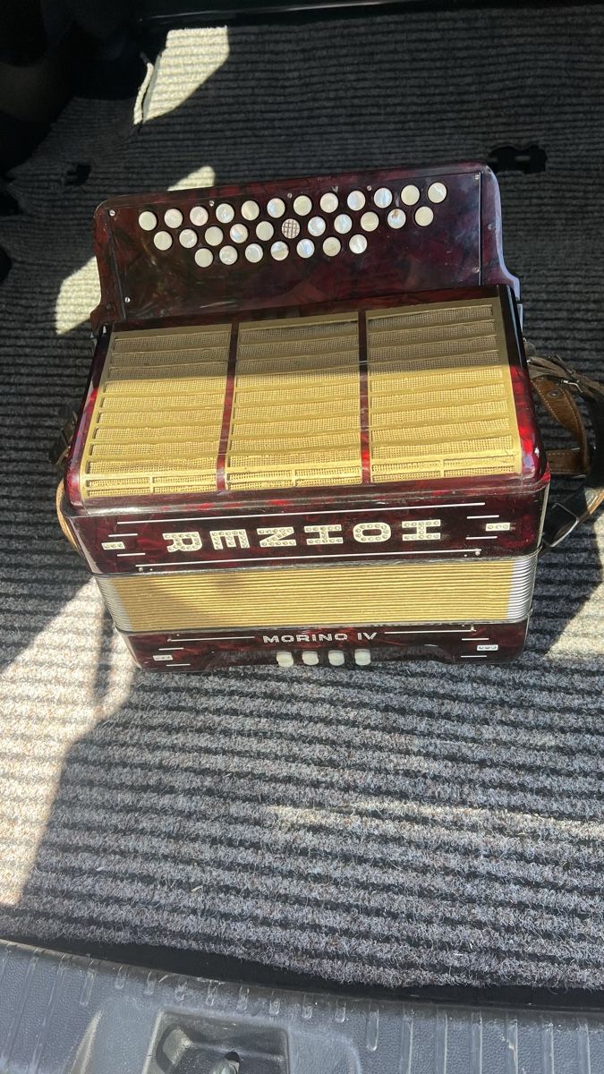 Hohner Instruments de musique: Hohner Diatonisch – D'occasion à Rothrist par Tessin1973