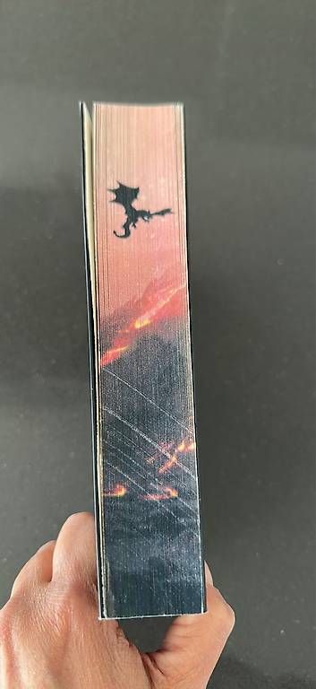Bücher:  Burning Crown – Gebraucht aus Sementina von mon_s8tz 2