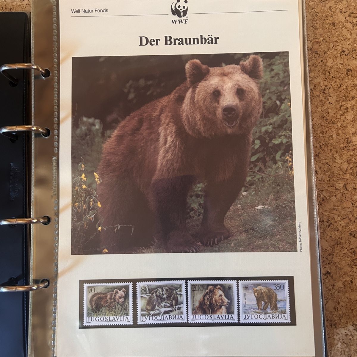 WWF Album: WWF Briefmarkenalbum – Usato da Laufen venduto da belleskulptur 3