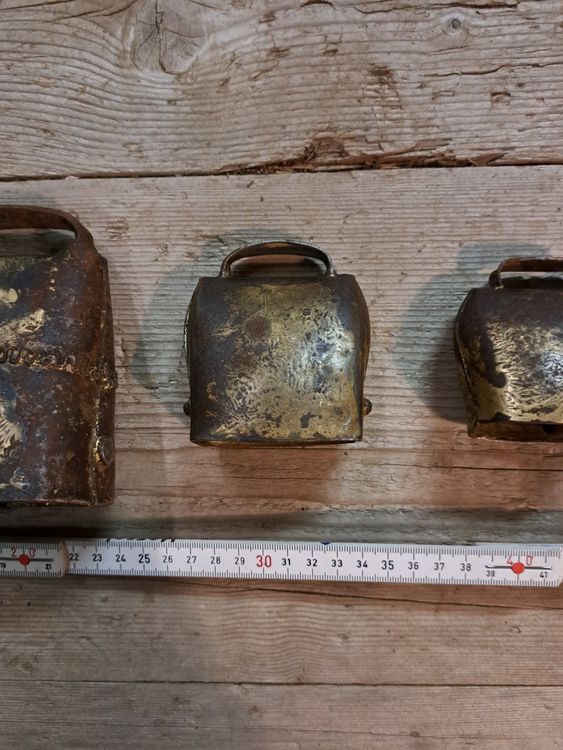 alte-tiroler-flachschellen-schaf-glocken-5stk-zusammen-kaufen-auf-ricardo