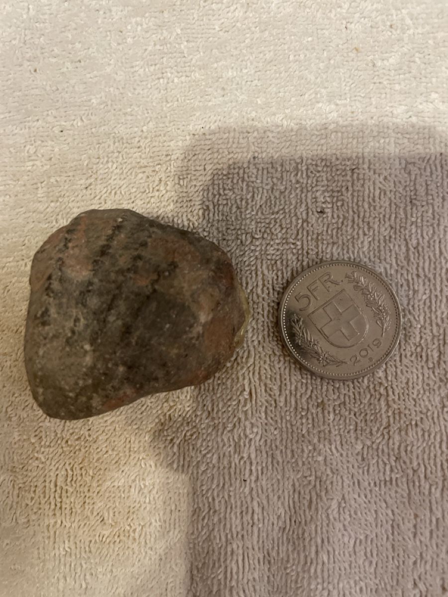 Fossilien: Fossil, Rarität – Gebraucht aus Niederhelfenschwil von ele_zr5b 1