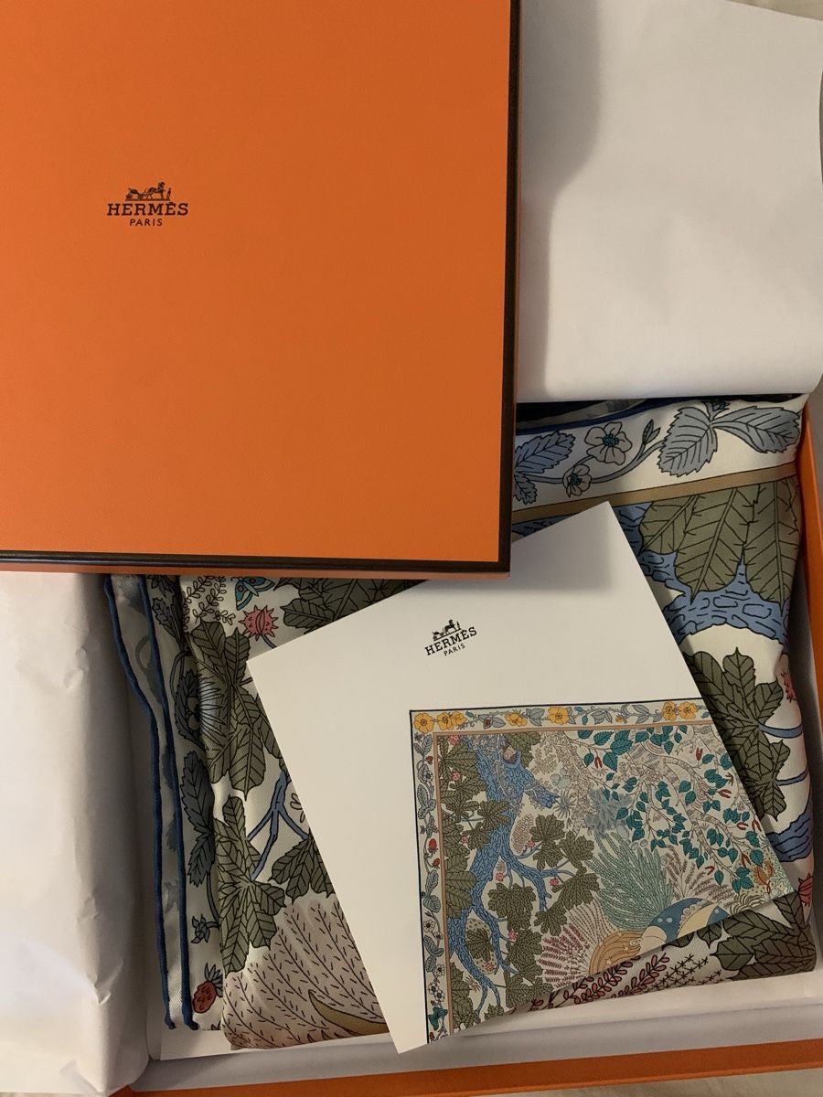 Hermès Foulard & Sciarpe: Hermes silk scarf - special edition – Usato da Brugg AG venduto da Lovelux73 3