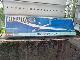 Modellflugzeug mit Motoren,