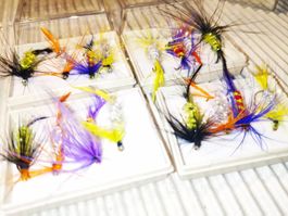 16x Trockenfliegen Angeln / mouche seche / mosche secche
