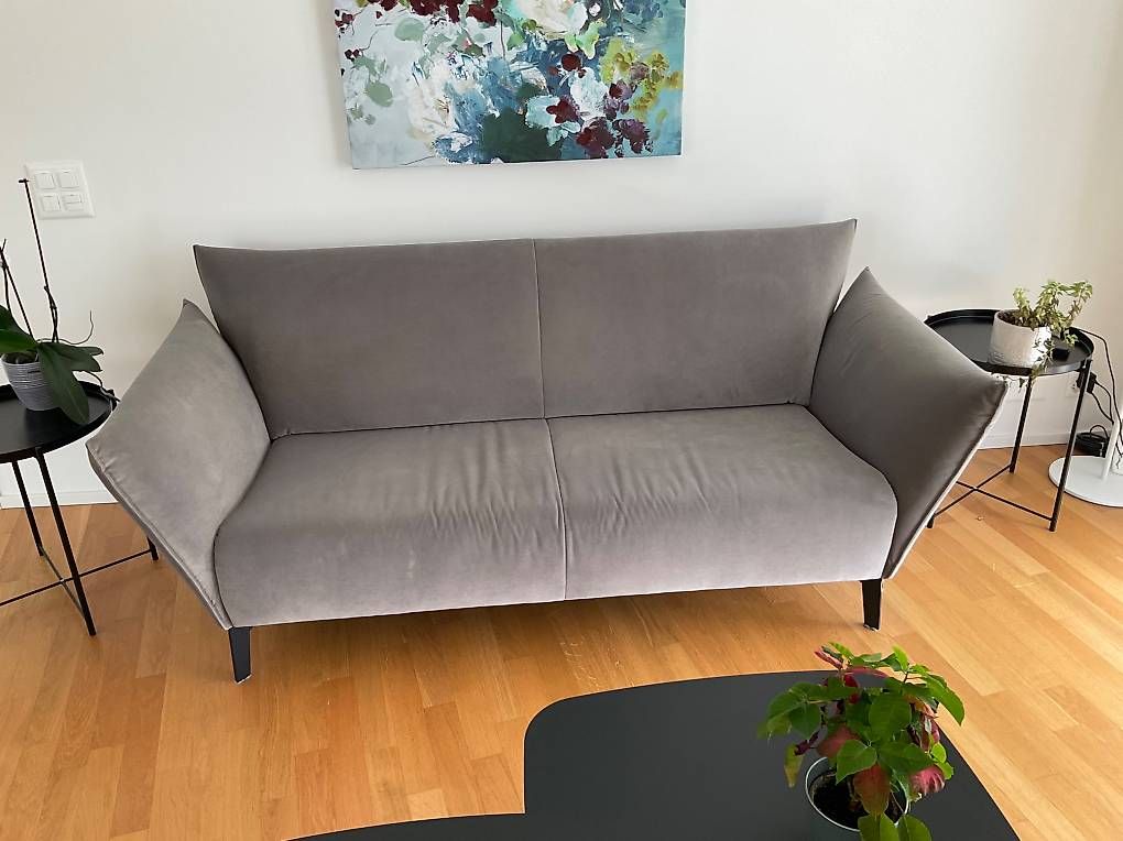 Pfister Sofas: Divano Pfister Dinhard – Gebraucht aus Massagno von mic_rpj6