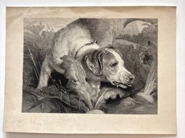 💚 HISTORISCHER HOLZSTICH NACH EDWIN LANDSEER 💚 1883-1884