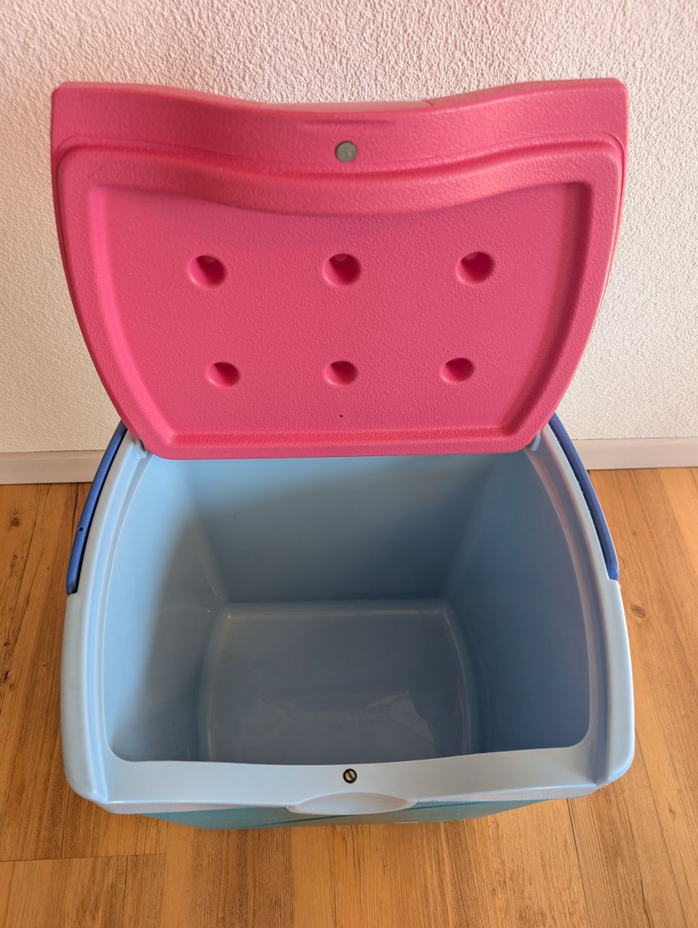 Frigoriferi & Refrigeratori: Kühlbox mit Deckel - Leicht zu tragen – Usato da Pfyn venduto da Magra02 2