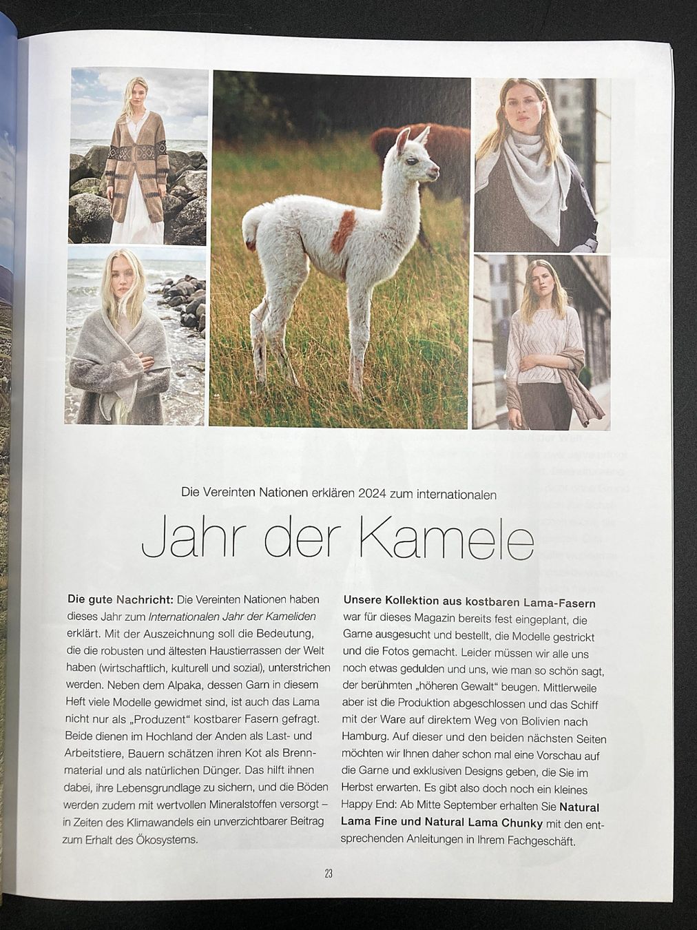 Riviste & Magazine: LANA GROSSA | Nordic Knits | Strickheft – Nuovo (secondo la descrizione) da Wittenbach venduto da Restwert_St-Gallen 2
